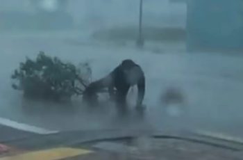 Élő adásban sodorta el a meteorológust a hurrikán